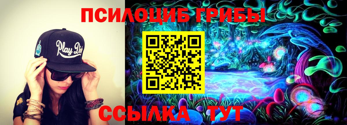 Псилоцибиновые грибы мицелий Фролово